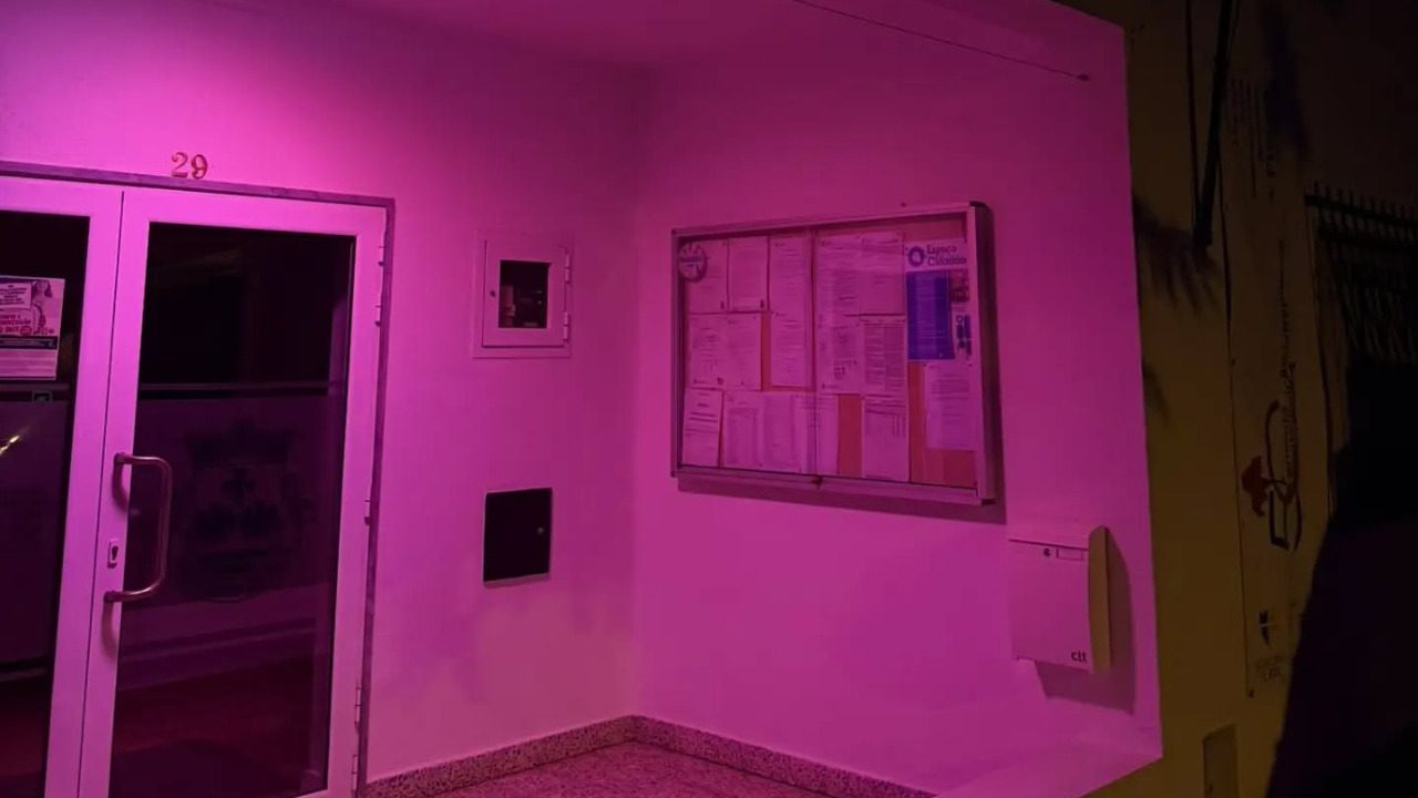 Mês da sensibilização para a importância do rastreio do cancro da mama